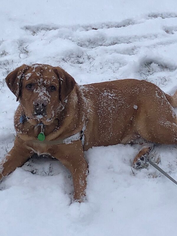 Milo